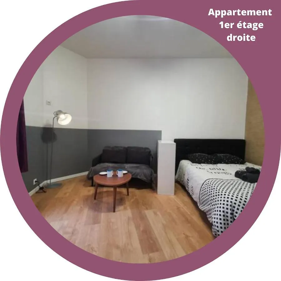 Rnb Locations Vichy Apartment France